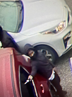 Kia Theft security image